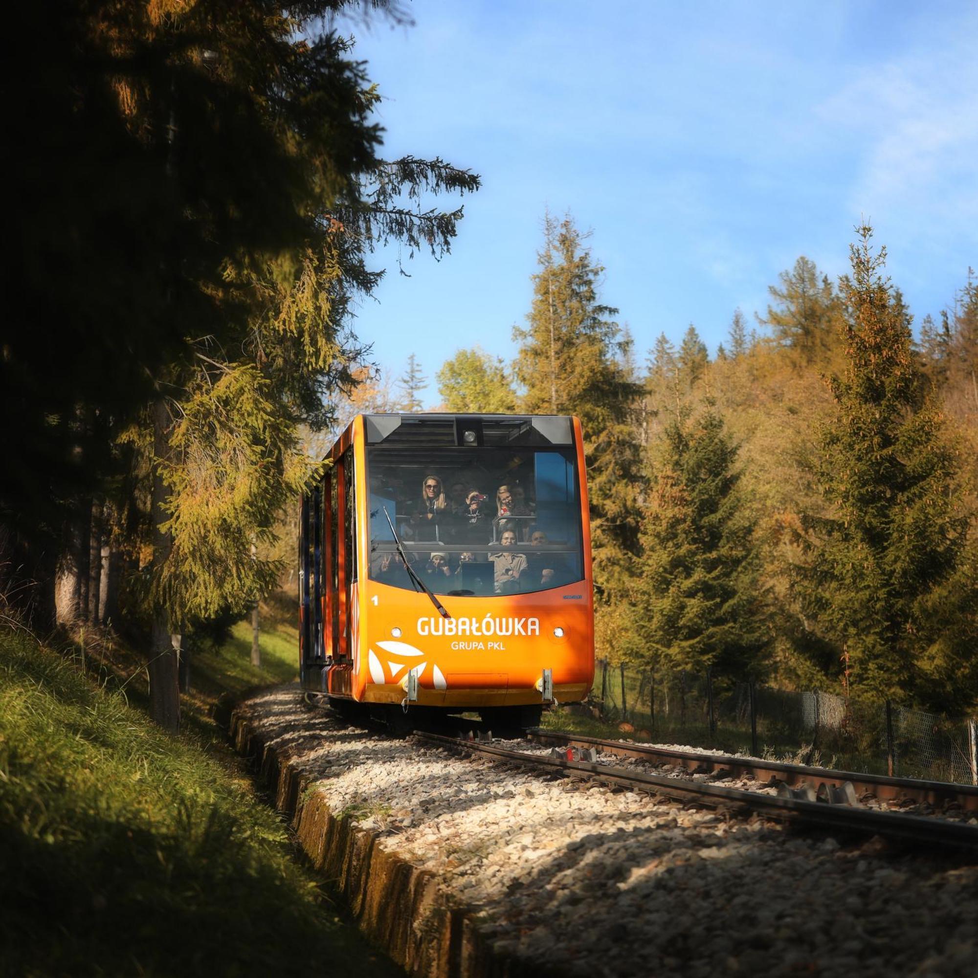 Willa Wygrodzisko Zakopane Exteriör bild
