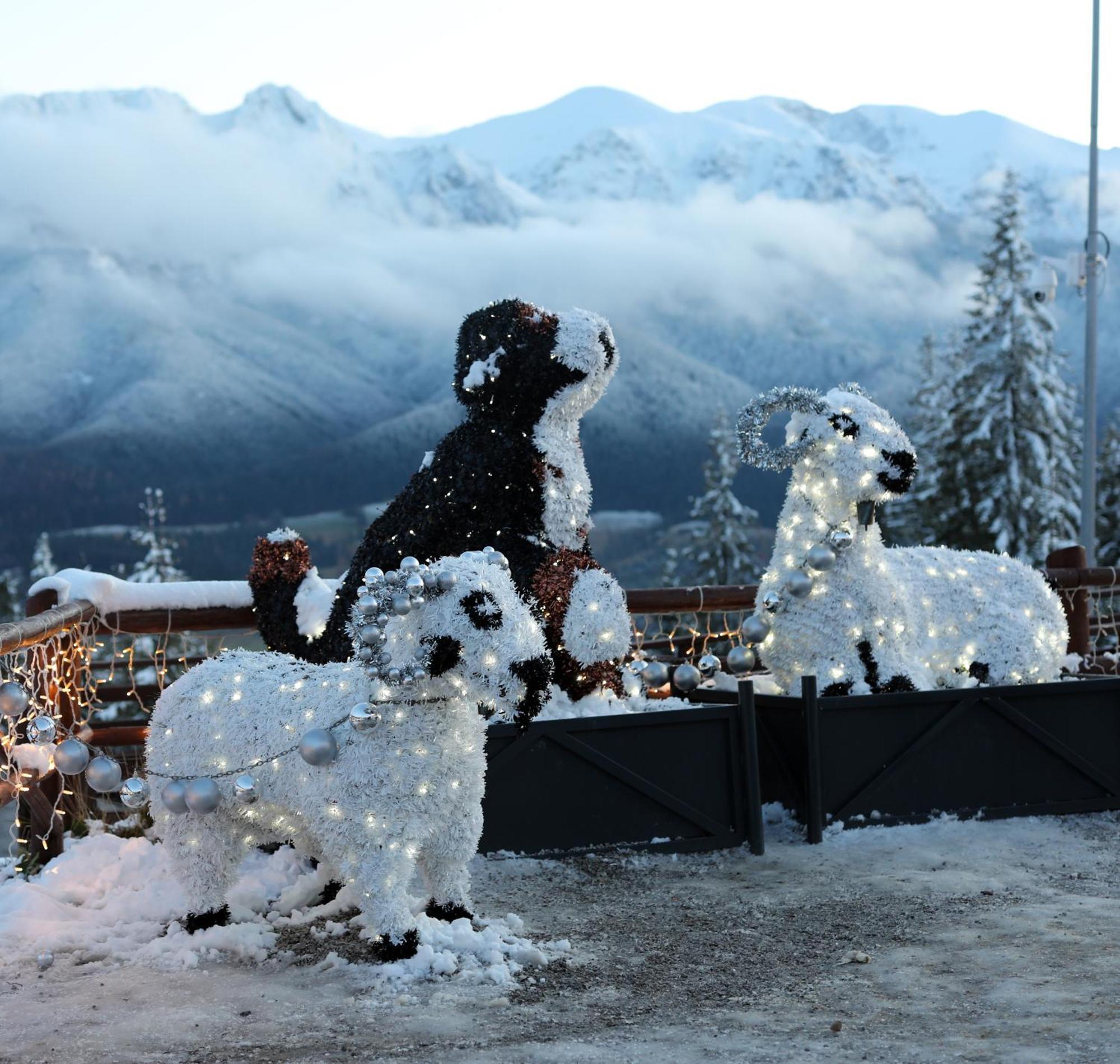 Willa Wygrodzisko Zakopane Exteriör bild