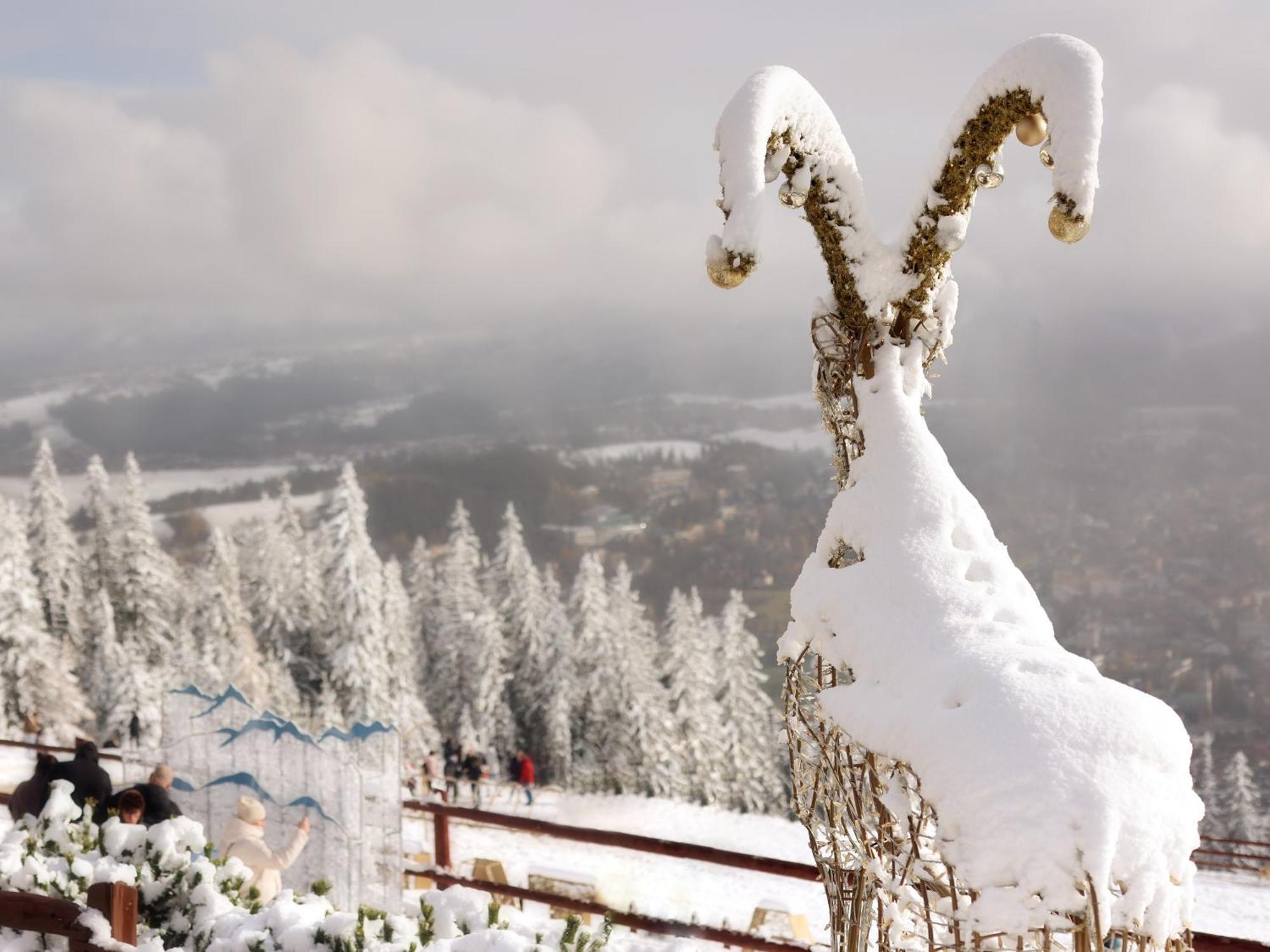 Willa Wygrodzisko Zakopane Exteriör bild