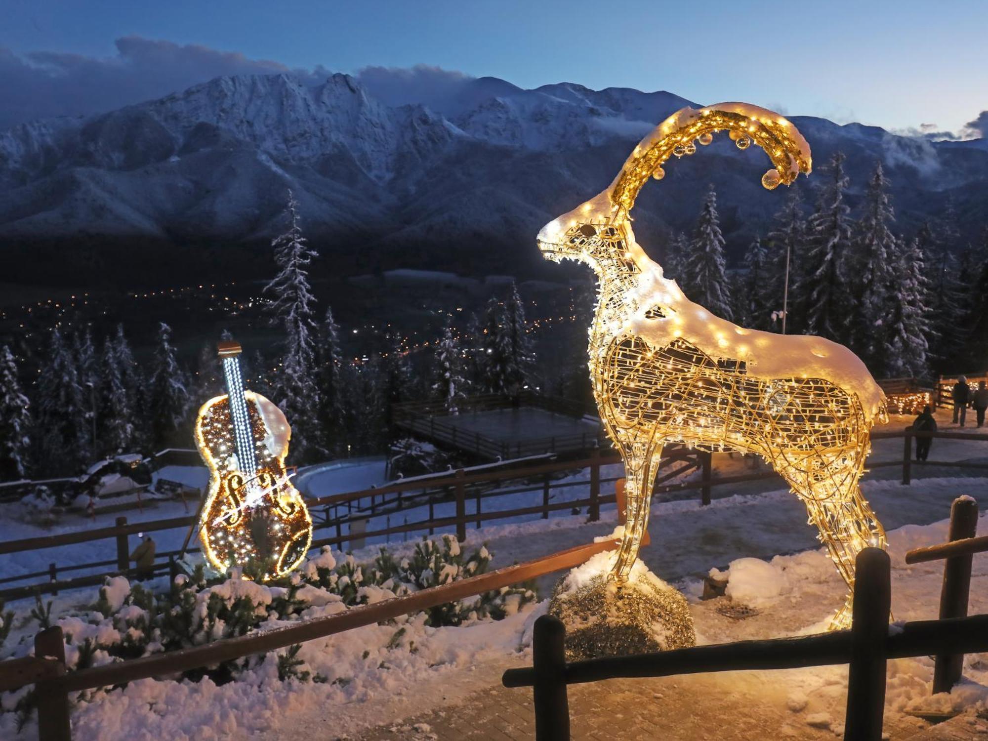 Willa Wygrodzisko Zakopane Exteriör bild