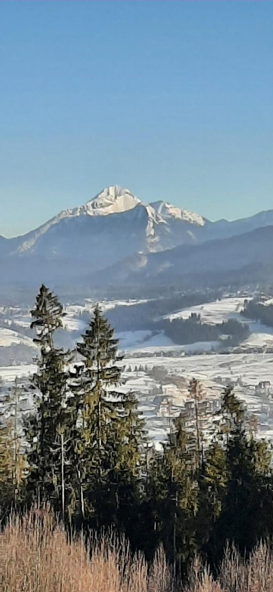 Willa Wygrodzisko Zakopane Exteriör bild