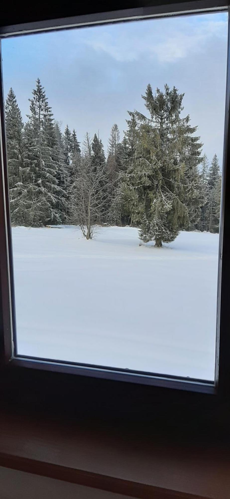 Willa Wygrodzisko Zakopane Exteriör bild